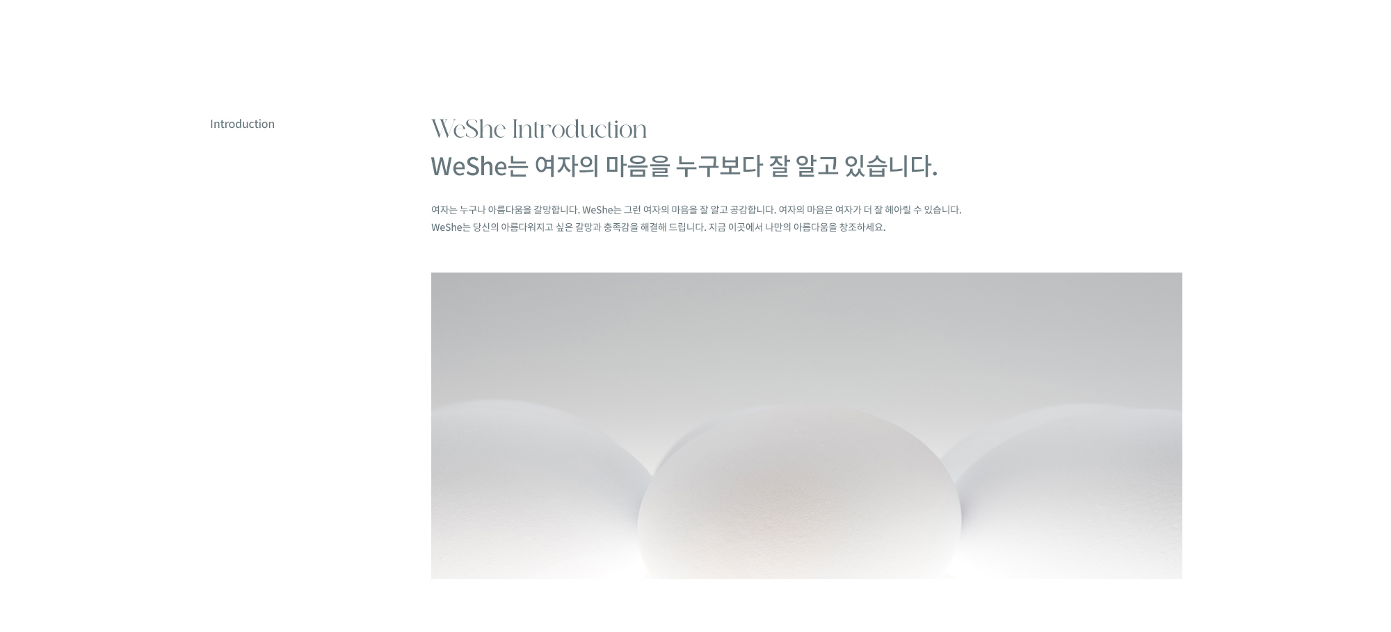 WESHE의 가슴성형