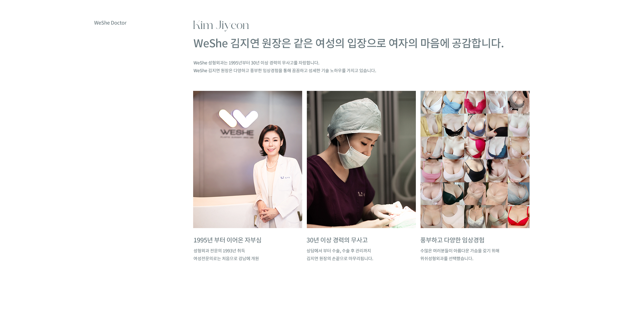 WESHE의 가슴성형